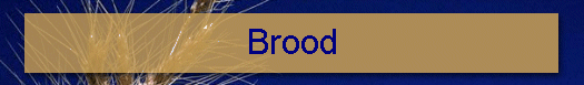 Brood